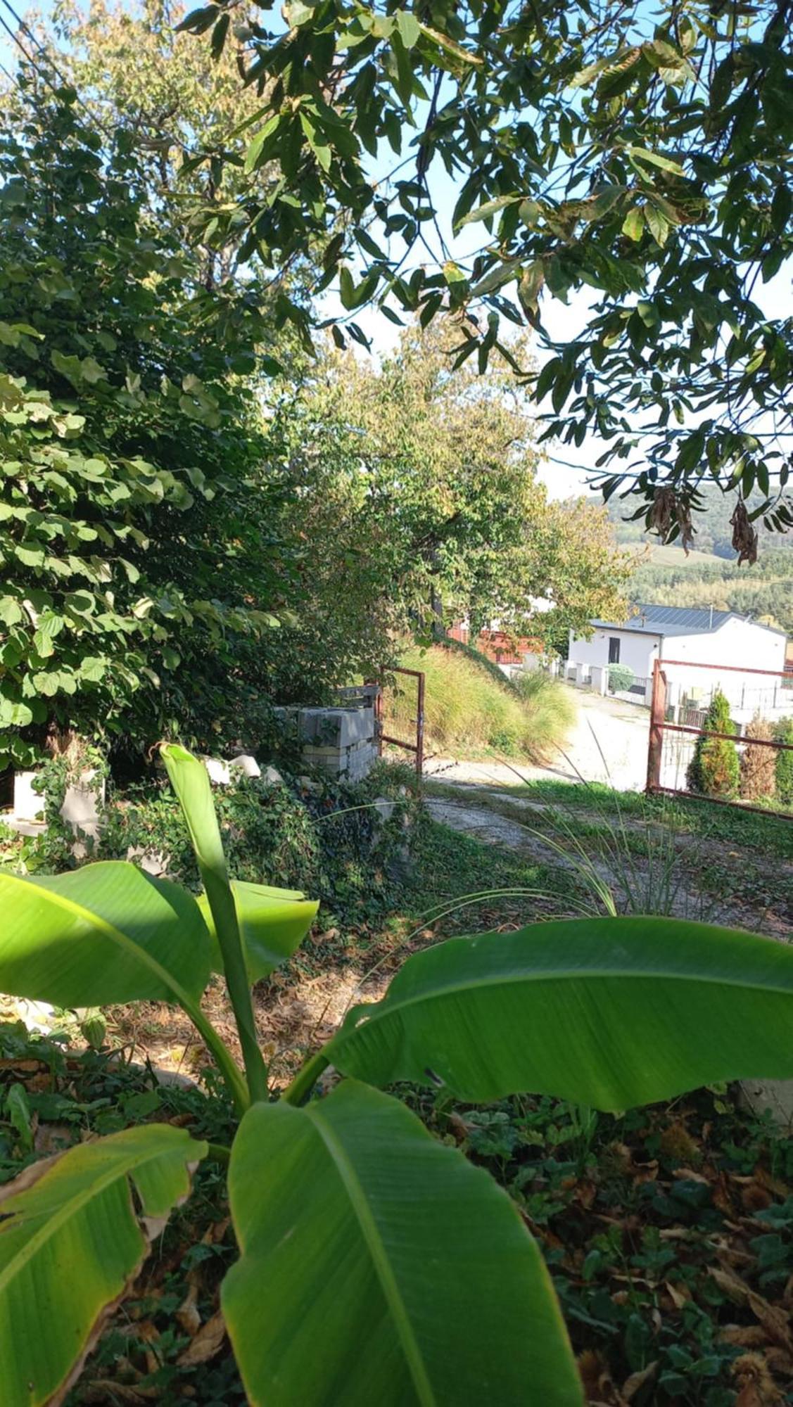 Onix- Kis-To Apartman Orfű Buitenkant foto